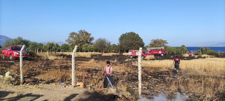 Muğla'da buğday ekili tarlada çıkan yangında 17 dönüm alan zarar gördü G2