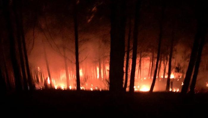 Son dakika! Adana'da orman yangını