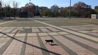 Yeni İçişleri Bakanlığı genelgesi yayınlandı mı? Yeni genelge ne zaman yayınlanacak?