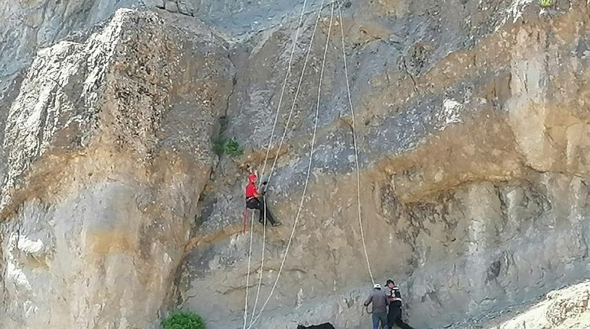 Kayalıklarda 2 gün mahsur kalan 17 keçiyi jandarma kurtardı