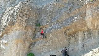 Kayalıklarda 2 gün mahsur kalan 17 keçiyi jandarma kurtardı