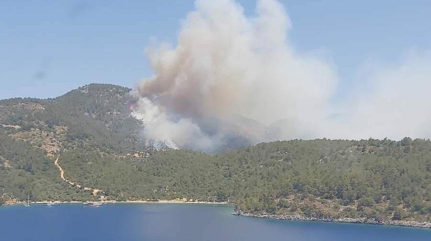 Muğla'da korkutan orman yangını