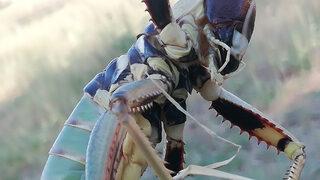 Batman'da görüldü! Boyu 20 santimetre, sadece etle besleniyor