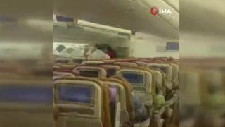 Yolcu uçağında 'yarasa' paniği!