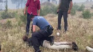 Pozantı'da 8 farklı noktada orman yangını! 1 kişi gözaltına alındı