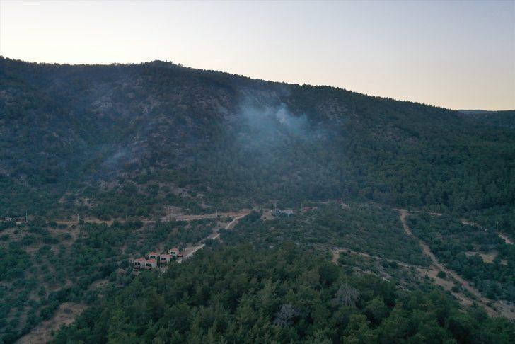 GÜNCELLEME 1 - Milas'ta ormanlık alandaki yangın kontrol altına alındı G1