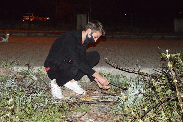 Bartın'da mahalleye inen çakalları vatandaşlar besliyor G3