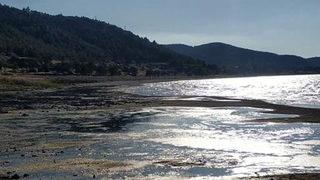 Salda Gölü'nde endişelendiren görüntü! Vali Arslantaş'tan açıklama