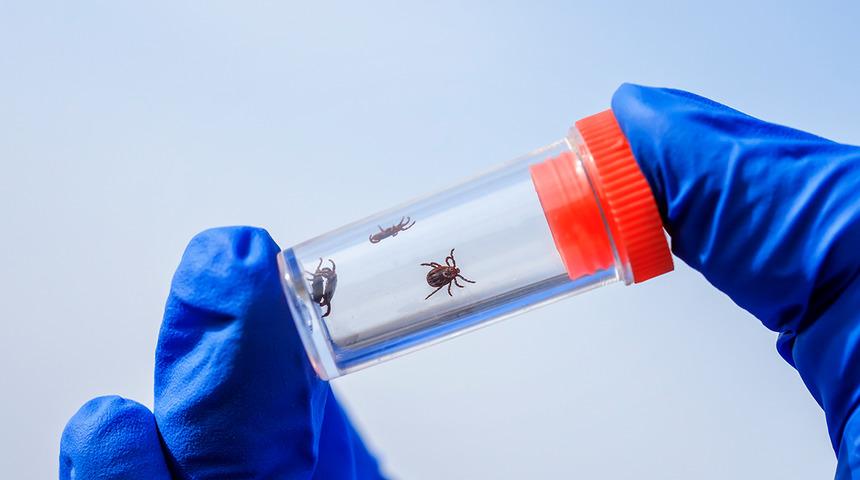 Uzman isim uyardı, vatandaşlar dikkat: 900’e yakın hastalığı insana bulaştırabiliyor