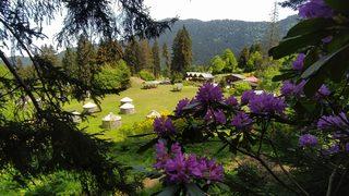 Bu obada 10 günlük tatil bedava! Tek bir şart var...