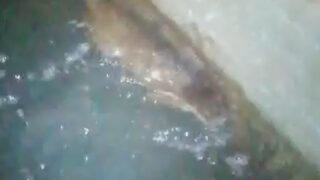 Eğirdir Gölü'nde su samuru görüntülendi: Daha önce söylüyorlardı fakat görüntüleyen olmamış