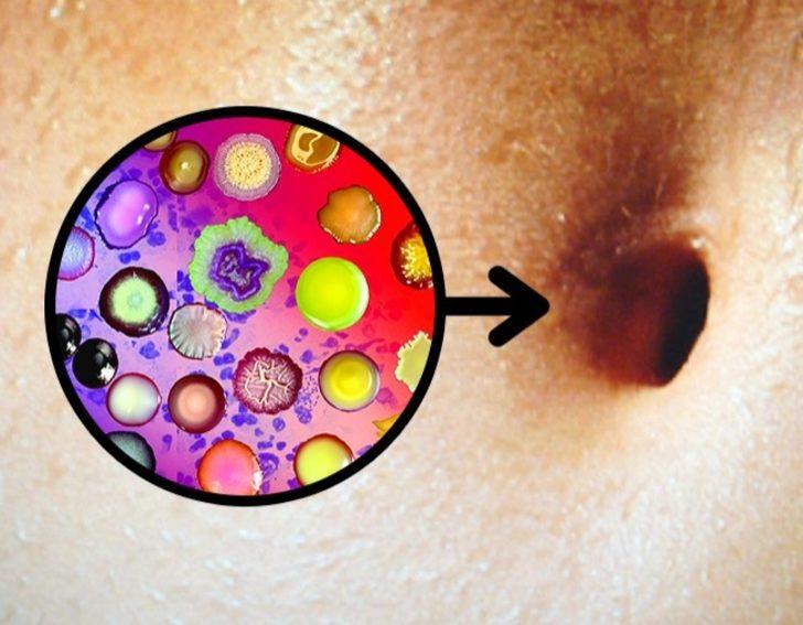 Vücudumuzun bu bölgesi ne işe yarıyor? G2