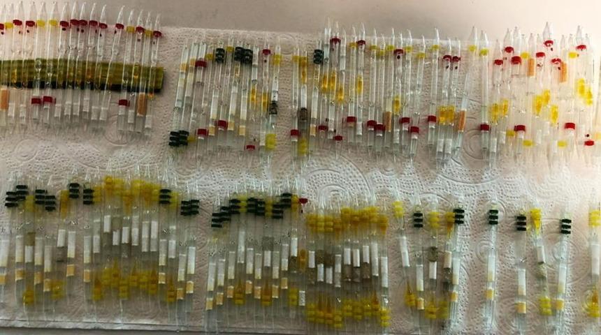 230 tüp arı ve kobra yılanı zehri ele geçirildi! Piyasa değeri dudak uçuklattı