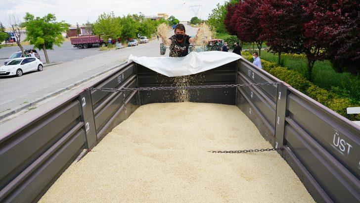 Polatlı Ticaret Borsası'nda ilk mahsul arpa işlem gördü G2