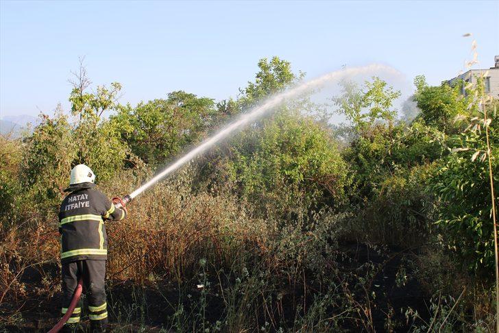 Hatay'da narenciye bahçesinde çıkan yangın söndürüldü G1