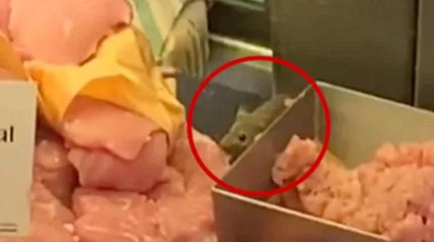 Markette mide bulandıran görüntü! Farenin et reyonundaki anları dehşete düşürdü: Daha adım atmam