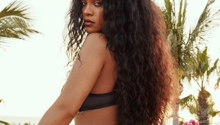 Rihanna, Demi Rose'un Playboy için verdiği üstsüz pozu kopyaladı