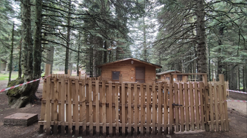 Uludağ’da yaz sezonu açıldı! Orman evlerine talep arttı