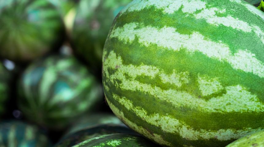 Karpuzda tarla ile market fiyatı farkı 4 kata yükseldi