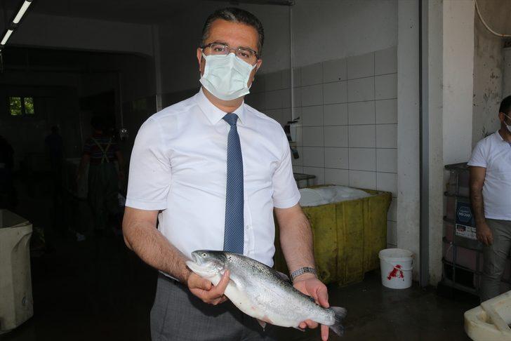 Ordu'da kafes balıkçılığından yılın ilk 6 ayında 110 milyon lira gelir elde edilmesi hedefleniyor G2