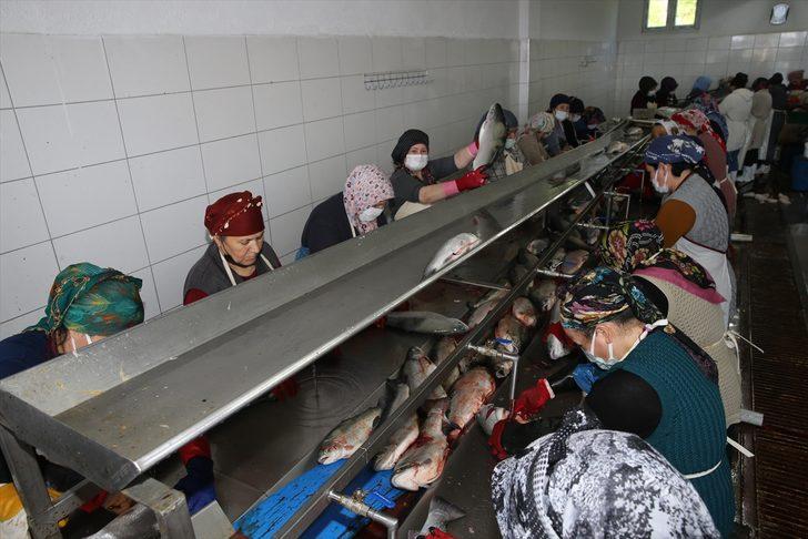 Ordu'da kafes balıkçılığından yılın ilk 6 ayında 110 milyon lira gelir elde edilmesi hedefleniyor G3