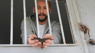 Cezaevinde solucan gübresi yetiştiriyor! Sebebini öğrenenleri şaşırtıyor