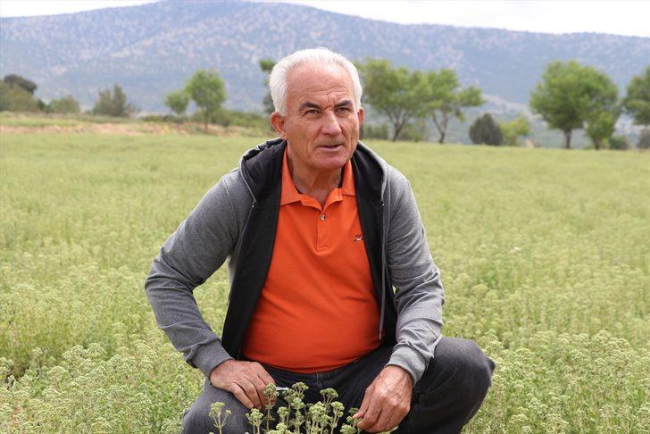 Denizli Valisi Atik, mahallelinin kapatılmasını istediği taş ocağında incelemelerde bulundu G3