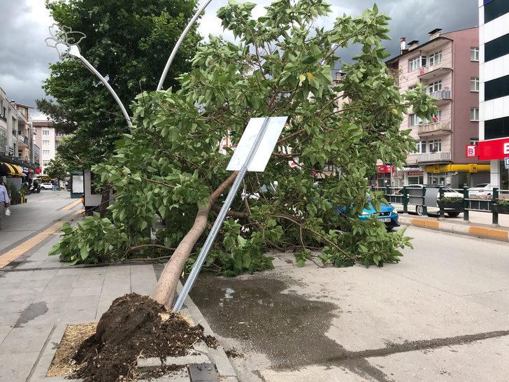 Tokat Ta Kuvvetli Ruzgar Agaclar Devrildi Catilar Uctu Son Dakika Haberler