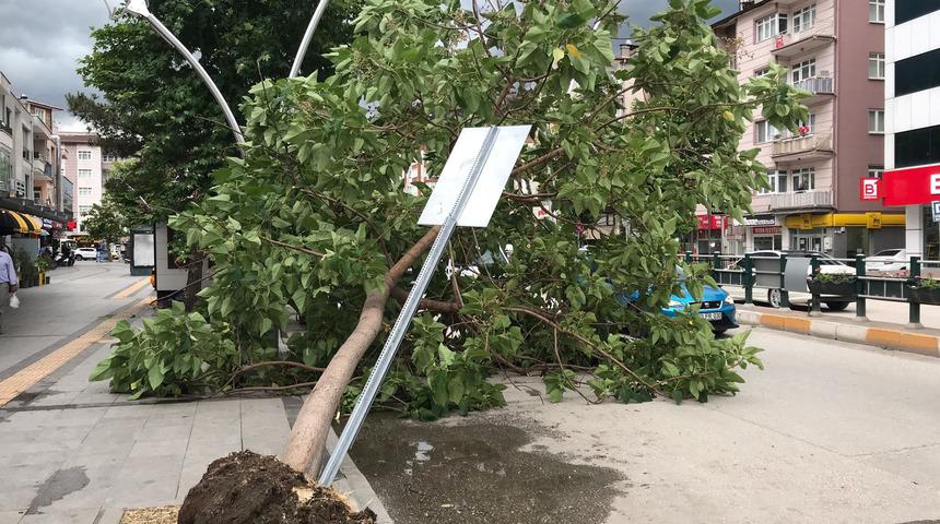 Tokat'ta kuvvetli rüzgar! Ağaçlar devrildi, çatılar uçtu