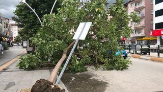 Tokat'ta kuvvetli rüzgar! Ağaçlar devrildi, çatılar uçtu