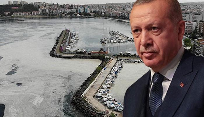 Cumhurbaşkanı Erdoğan'dan deniz salyası açıklaması