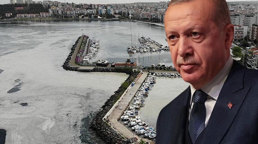 Cumhurbaşkanı Erdoğan'dan deniz salyası açıklaması