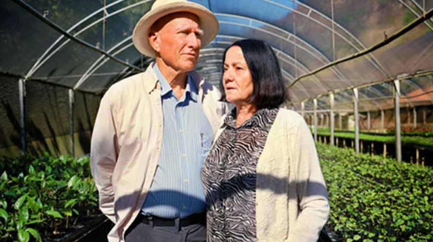 4 milyon ağaç dikerek boş bir araziyi ormana dönüştüren yeşil aşığı bir çift: Sebastiao Ribeiro Salgado ve eşi Lelia