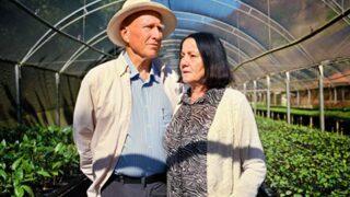 4 milyon ağaç dikerek boş bir araziyi ormana dönüştüren yeşil aşığı bir çift: Sebastiao Ribeiro Salgado ve eşi Lelia