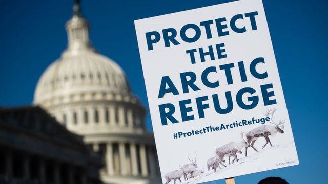 Arktik bölgesinde yaşayan yerli halkların liderleri ve çevreciler kararı memniyetle karşıladı