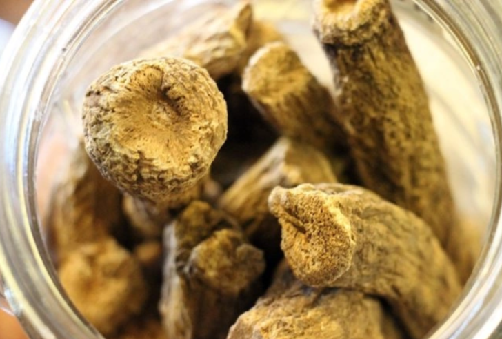 Udi hindi birçok rahatsızlığa şifa oluyor