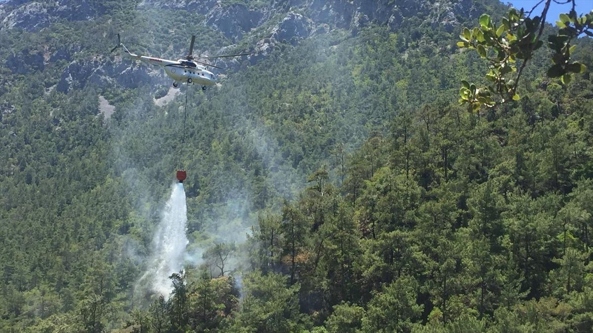 Muğla'da &ccedil;ıkan orman yangınında 3 dekarlık alan zarar g&ouml;rd&uuml;