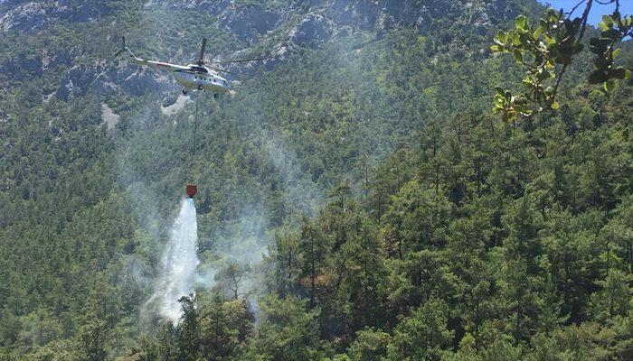 Muğla'da çıkan orman yangınında 3 dekarlık alan zarar gördü