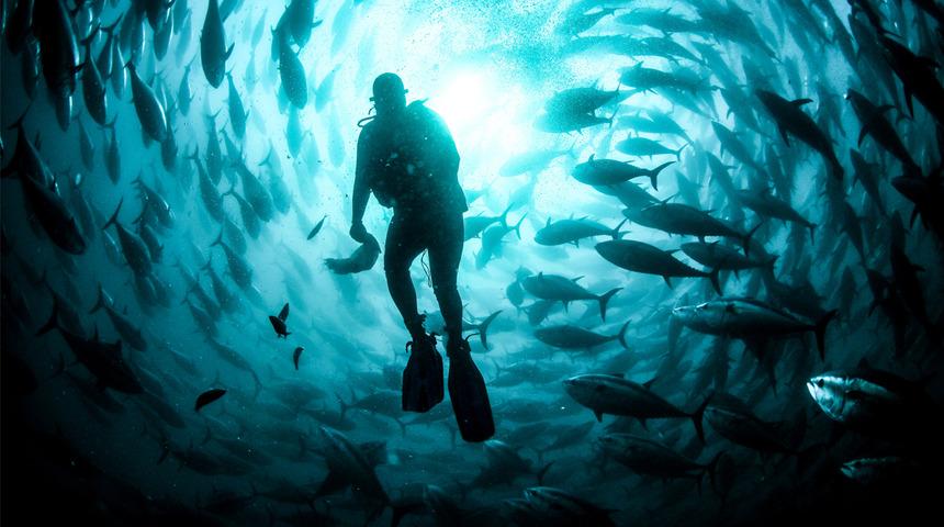 Zıpkınla balık avlamak için denize giren emekli kaptanın cansız bedeni bulundu