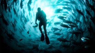 Zıpkınla balık avlamak için denize giren emekli kaptanın cansız bedeni bulundu