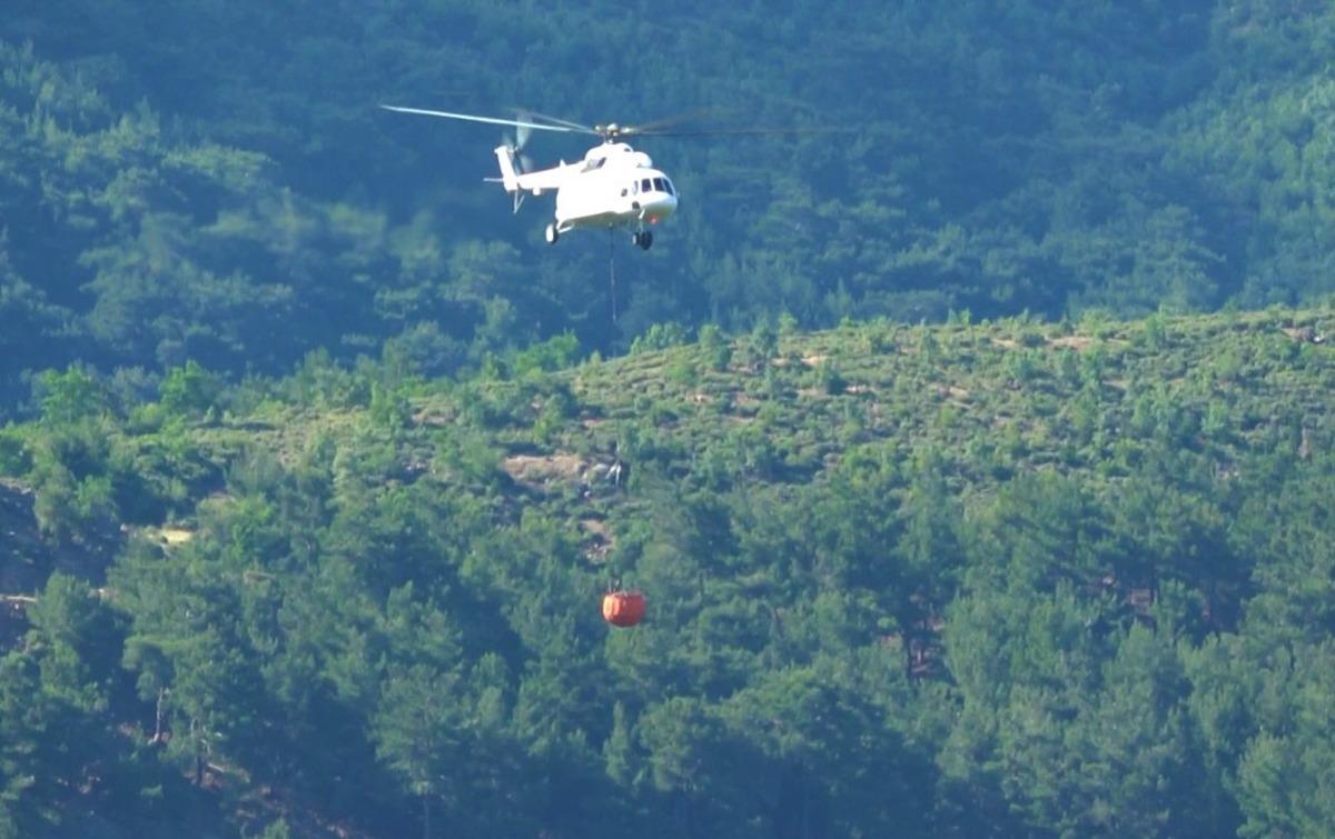 Edremit'te bitki &ouml;rt&uuml;s&uuml; yangını