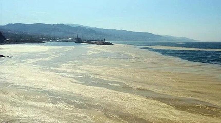 Prof. Dr. Mustafa Sarı: Marmara Denizi artık bu kirlilik yükünü taşıyamıyor