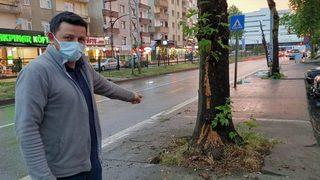 Trabzon'da ağaca yıldırım isabet etmesi güvenlik kamerasınca kaydedildi