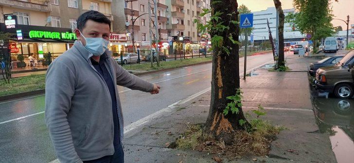 Trabzon'da ağaca yıldırım isabet etmesi güvenlik kamerasınca kaydedildi