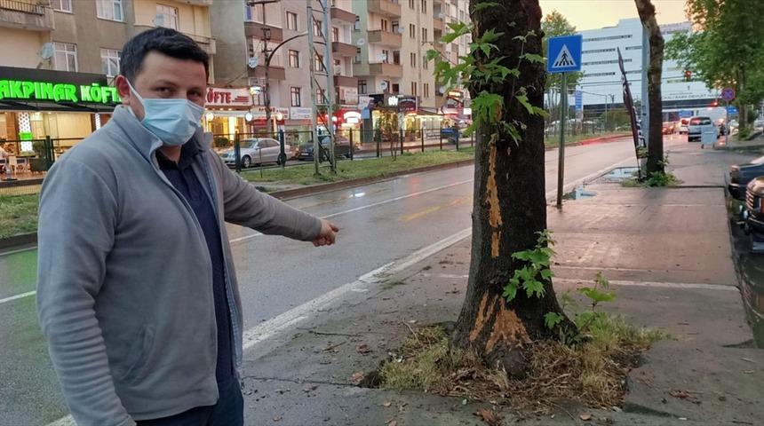 Trabzon'da ağaca yıldırım isabet etmesi güvenlik kamerasınca kaydedildi