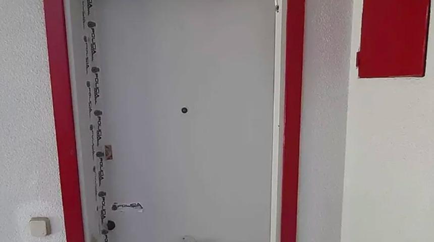 Yaşlı kadını kadının kedileri yedi! Polis bile şaşkına döndü: Gördüğüm en kötü şey