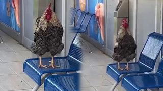 Gören şaşkına döndü! Sosyal medya bu görüntüyü konuşuyor