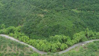 Ganos Dağı eteklerindeki ormanlar ziyaretçilerine görsel şölen sunuyor