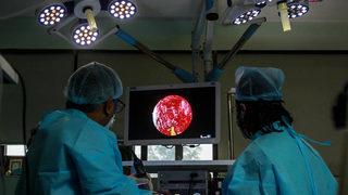 Kara mantar hastalığı Meksika’ya da sıçradı