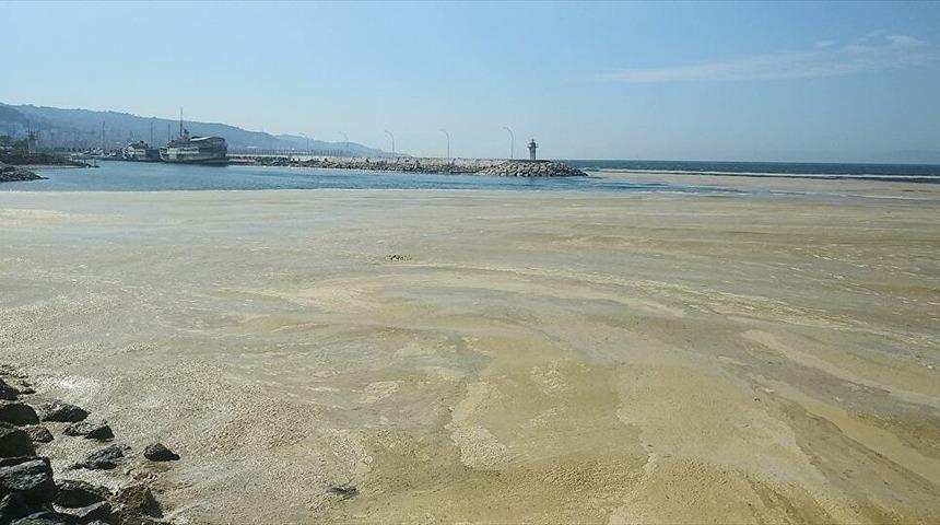 Deniz salyası nedir, nasıl temizlenir? Deniz salyası neden olur? Müsilaj neden olur?